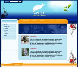 سایت شرکت آشوشا